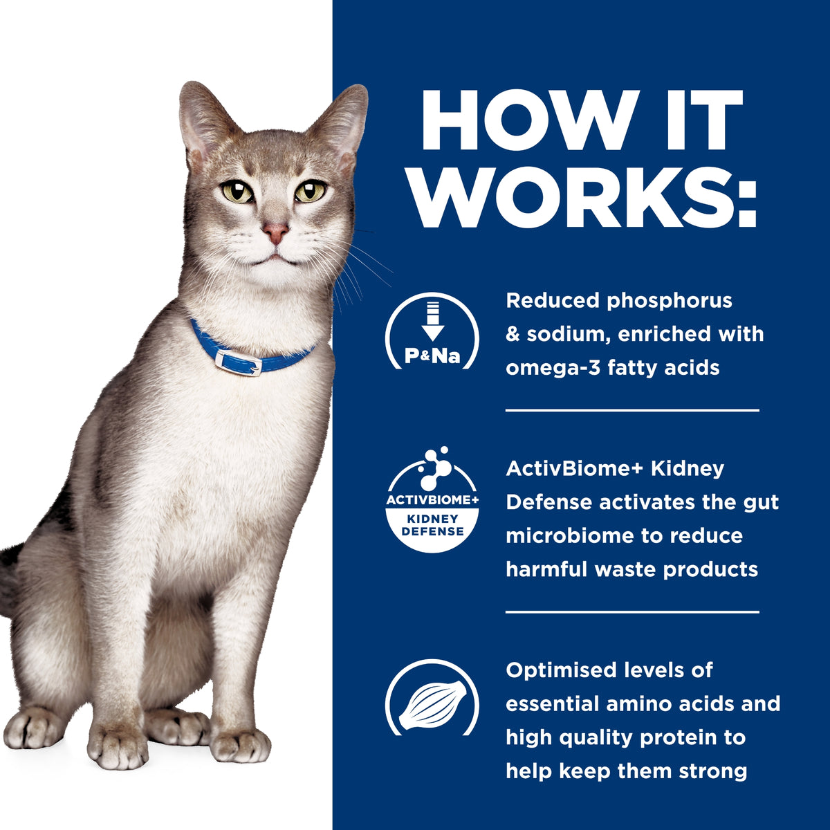 Hill's Prescription Diet Feline k/d Kidney Care Salmon Wet Cat Food Pouches 12 X 85g