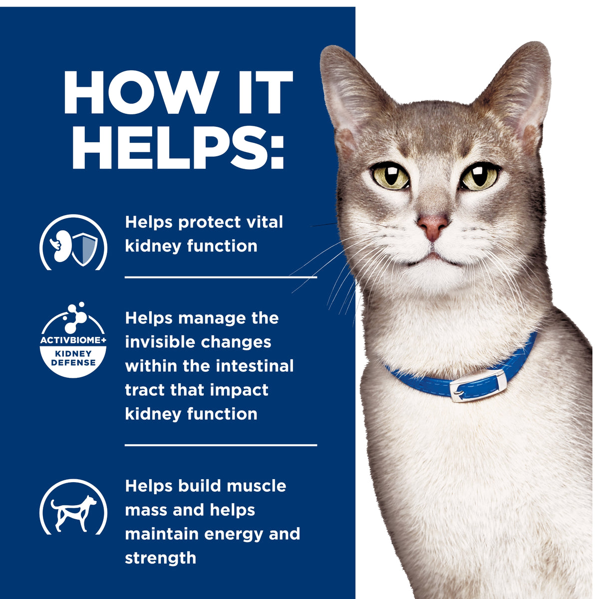 Hill's Prescription Diet Feline k/d Kidney Care Salmon Wet Cat Food Pouches 12 X 85g