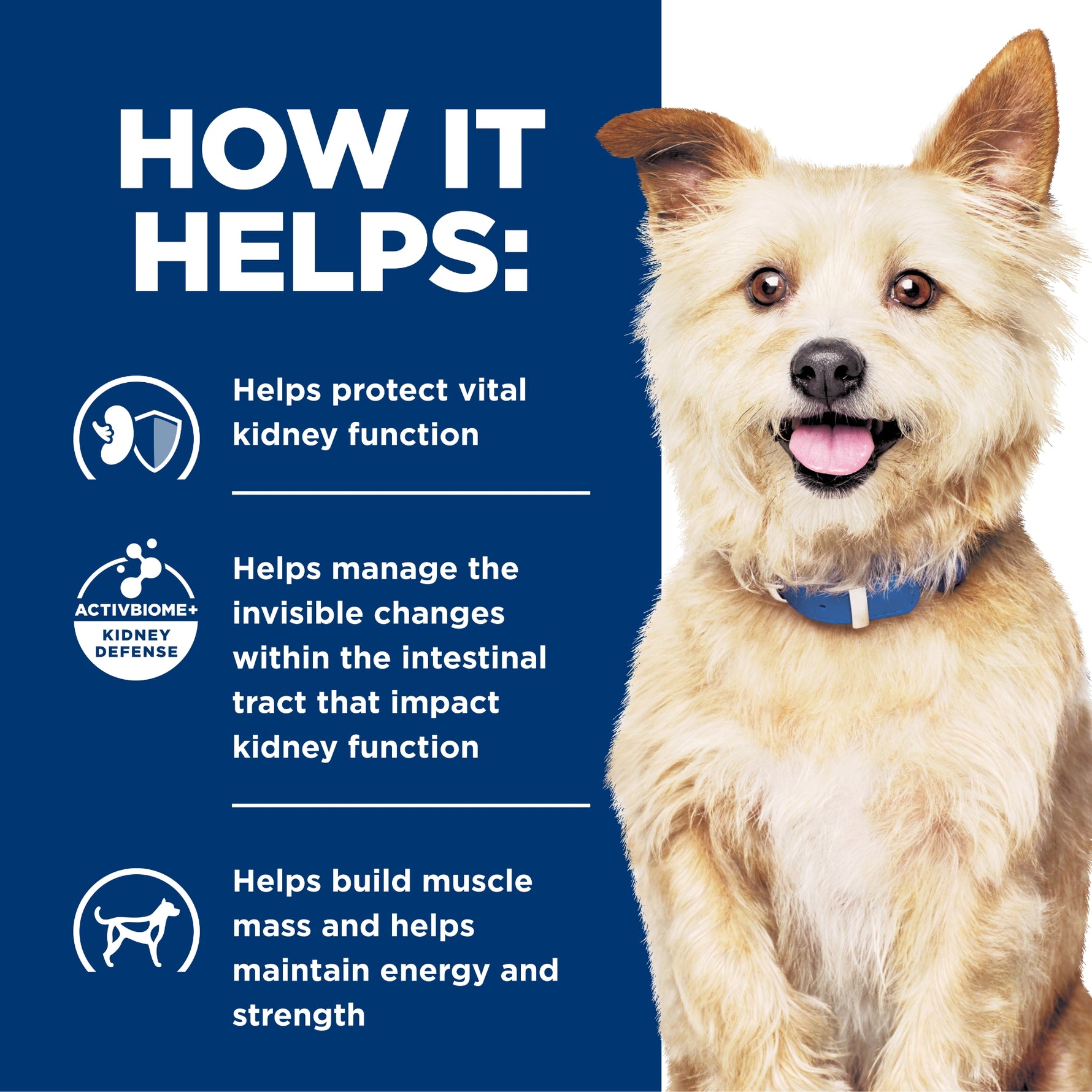 Hill's Prescription Diet Canine k/d Kidney Care