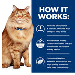Hill's Prescription Diet Feline k/d Kidney + j/d Mobility Care 2.88kg