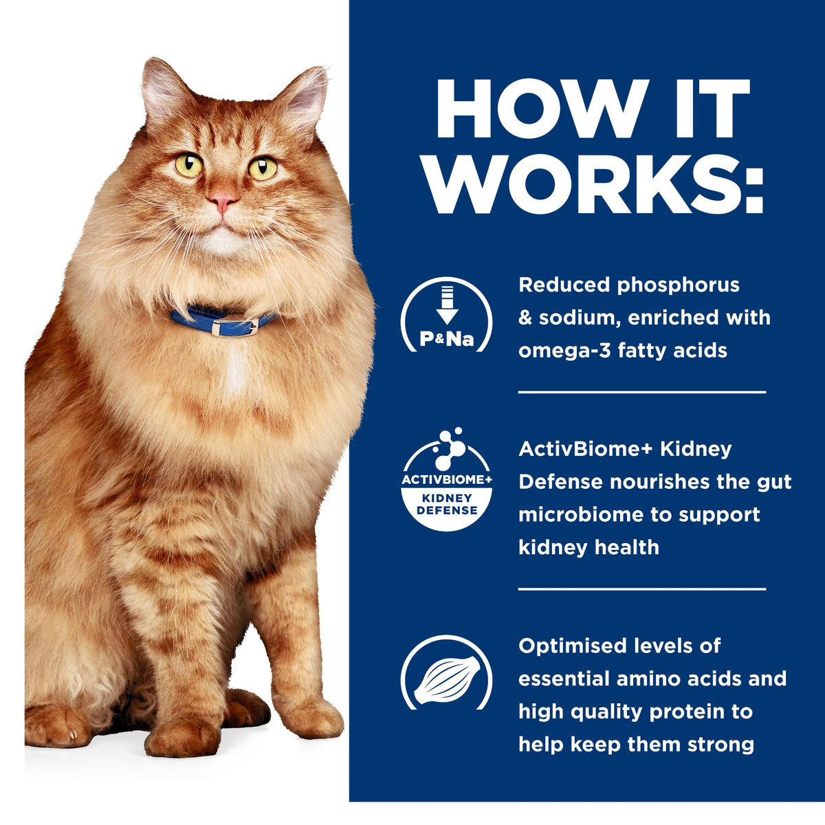 Hill's Prescription Diet Feline k/d Kidney + j/d Mobility Care 2.88kg