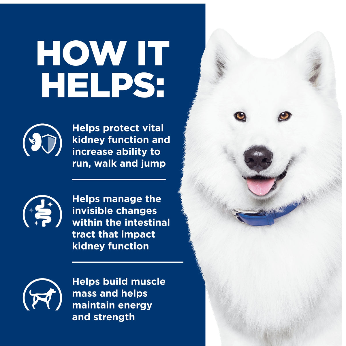 Hill's Prescription Diet Canine k/d Kidney+ j/d Mobility Care