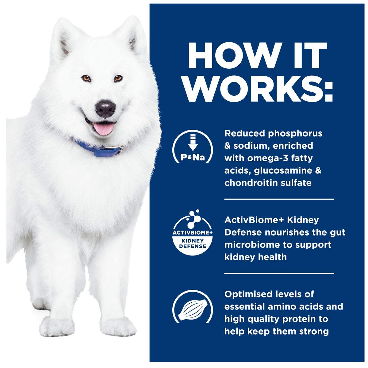 Hill's Prescription Diet Canine k/d Kidney+ j/d Mobility Care