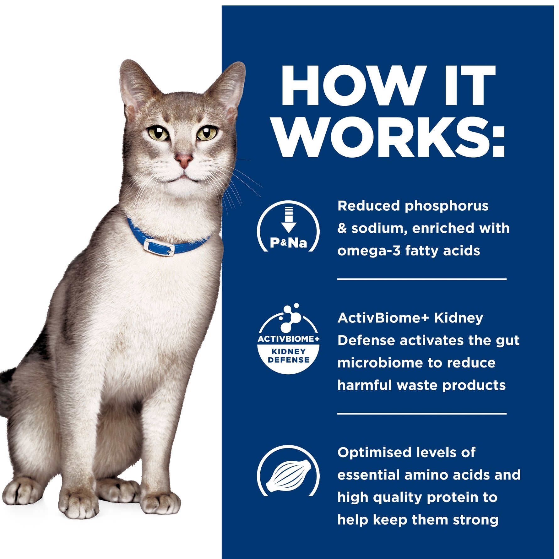 Hill's Prescription Diet Feline k/d Kidney Care Paté w/Tuna 156g x24