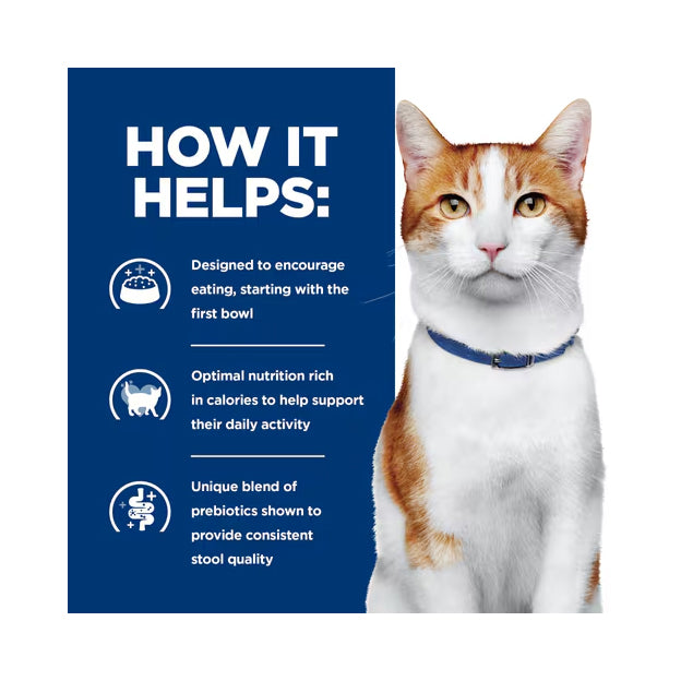 Hill's Prescription Diet ONC Care with Chicken Dry Cat Food 3.17kg