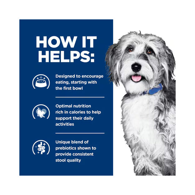 Hill's Prescription Diet ONC Care with Chicken Dry Dog Food