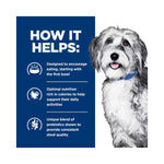 Hill's Prescription Diet ONC Care Chicken & Vegetable Stew Wet Dog Food 354g x 12