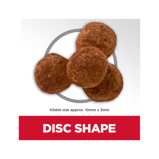 Hill's Science Diet Adult Perfect Weight Chicken Recipe Dry Dog Food