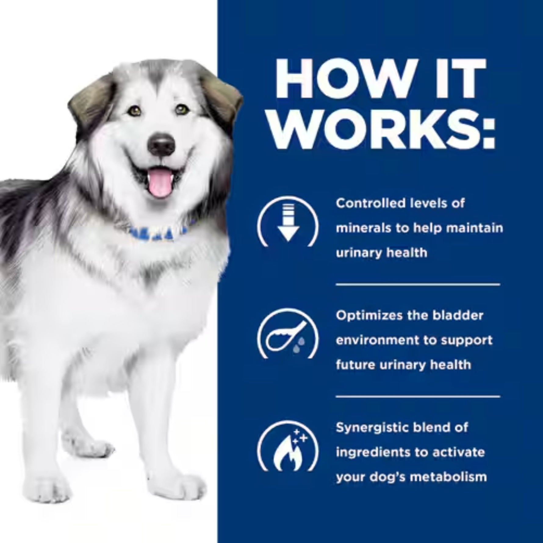 Hill's Prescription Diet Canine c/d Urinary + Metabolic Weight