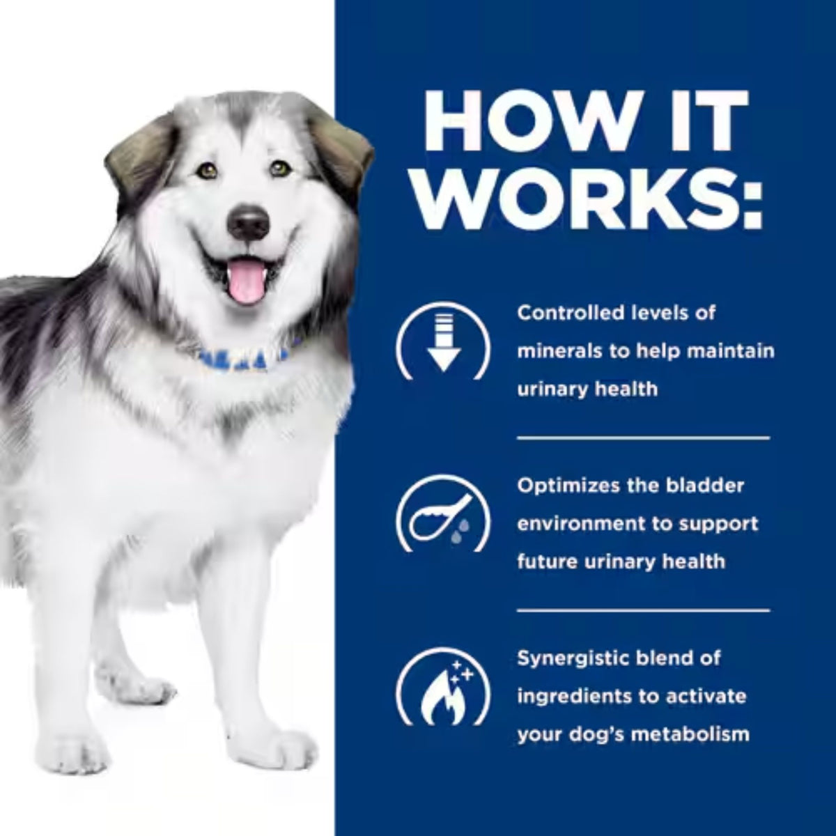 Hill's Prescription Diet Canine c/d Urinary + Metabolic Weight