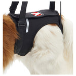 Kruuse Rehab Dog Lifting Harness - Hind Legs