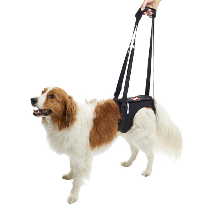 Kruuse Rehab Dog Lifting Harness - Hind Legs