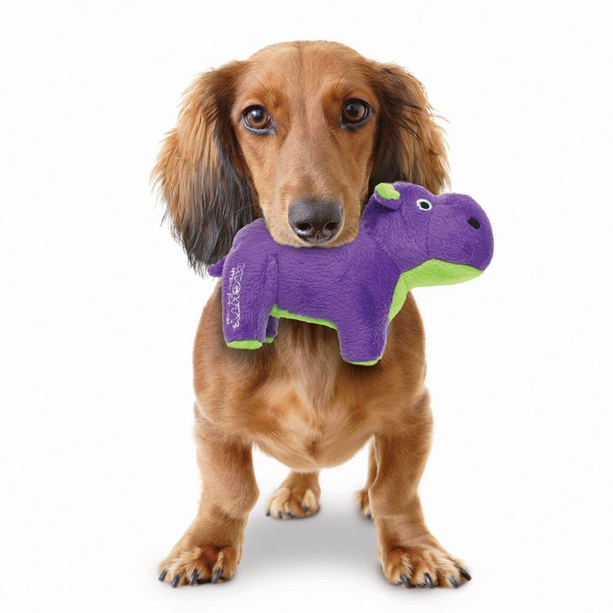 Tuffy Mighty Toy Safari Series Herb the Hippo