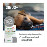 HomeoPet Sinus+
