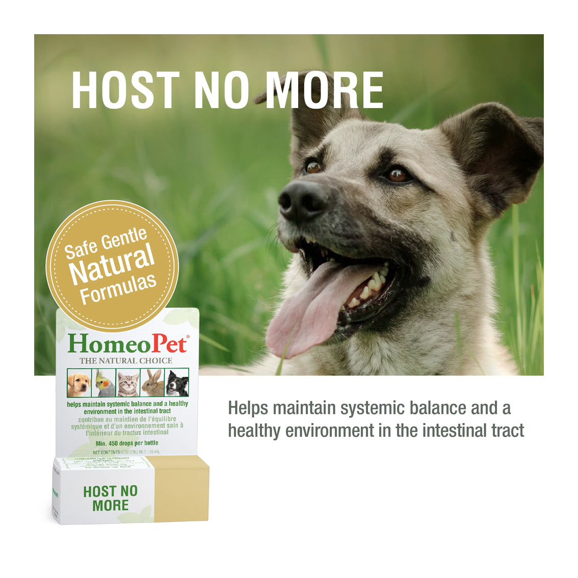 HomeoPet Host No More 15mL