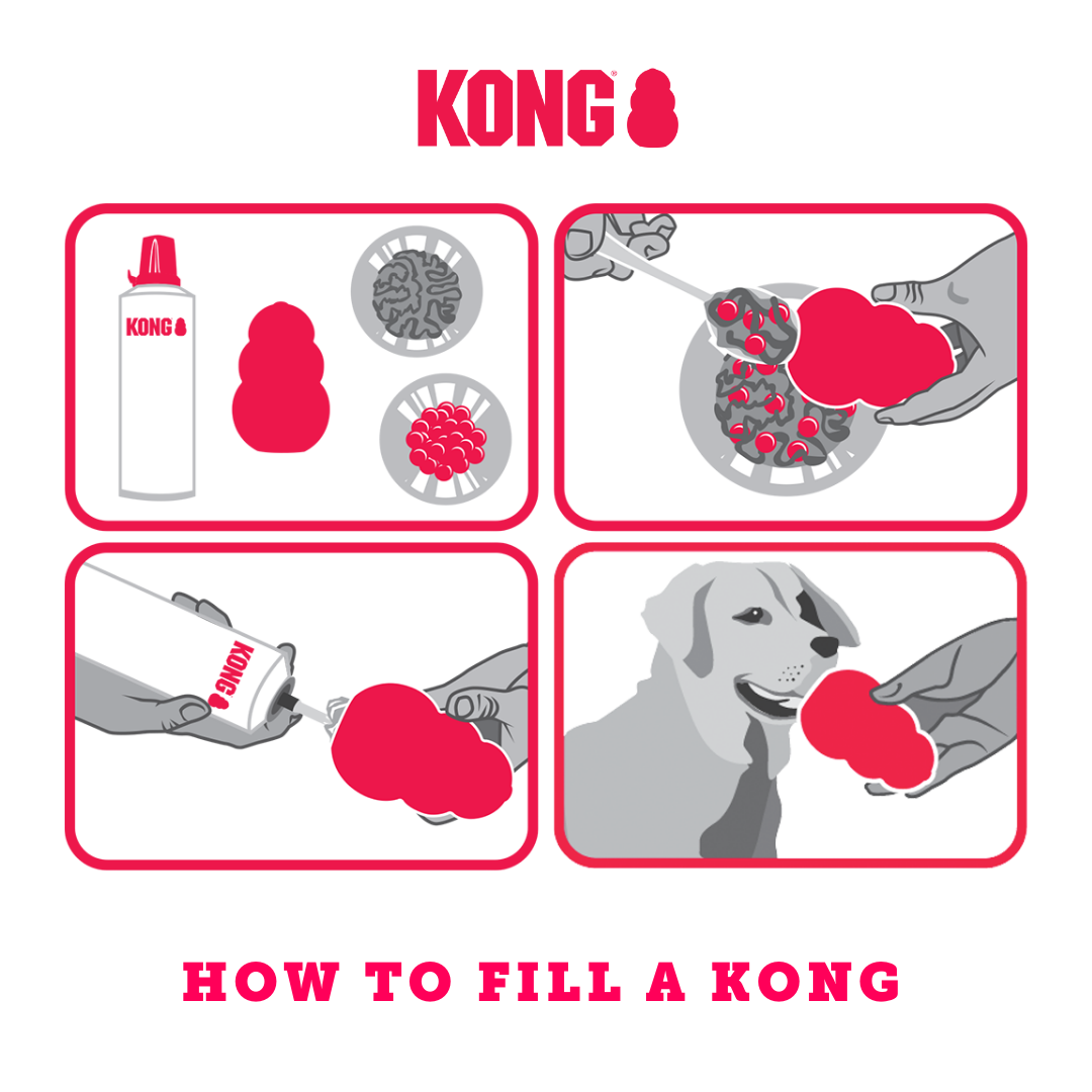 KONG Classic Red