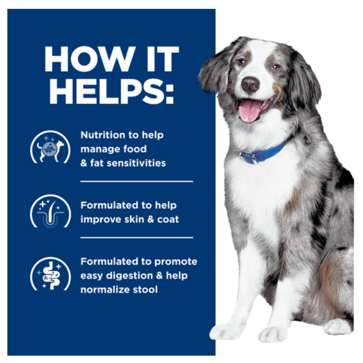 Hill's Prescription Diet z/d Low Fat Hydrolysed Soy Recipe Wet Dog Food 370g x 12