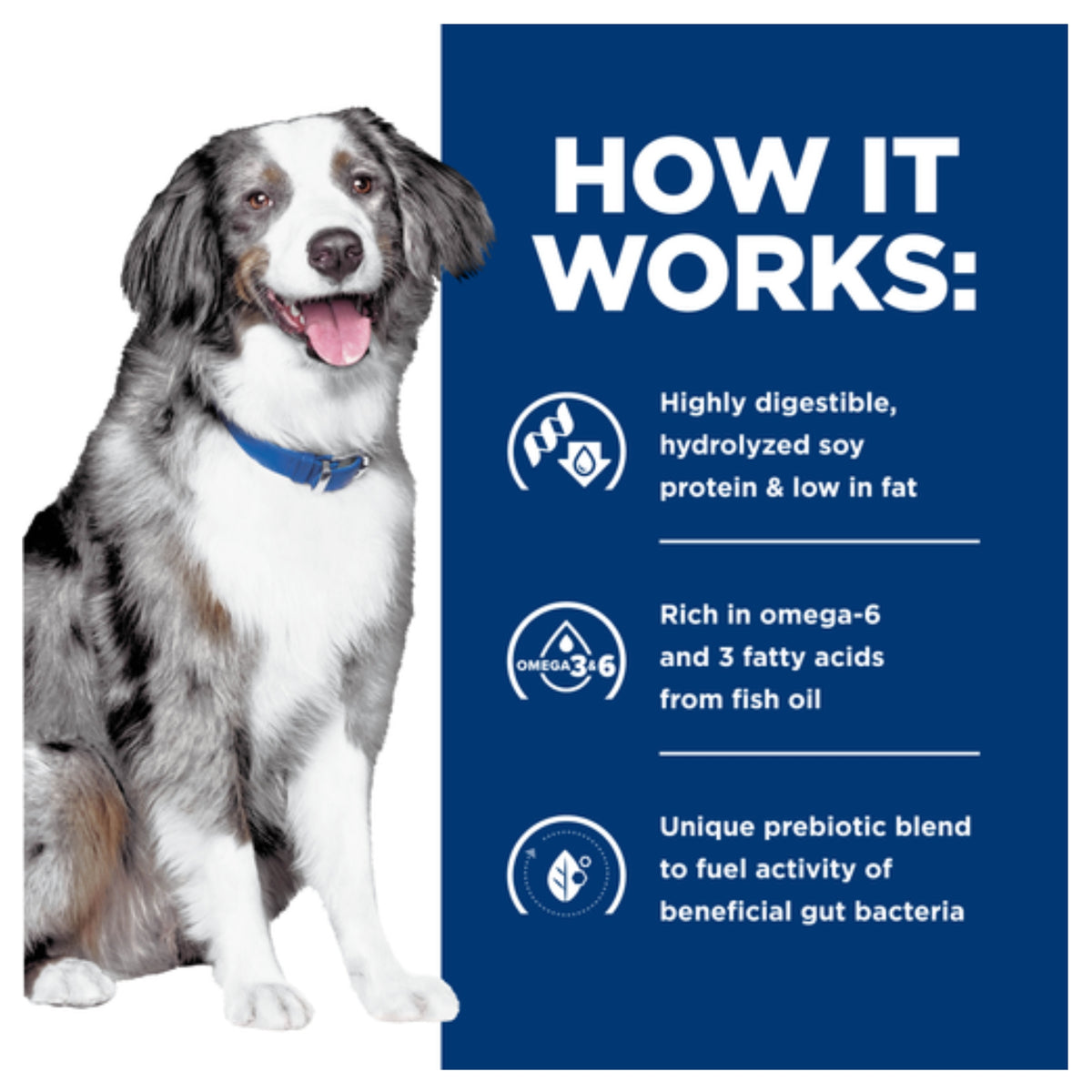 Hill's Prescription Diet z/d Low Fat Hydrolysed Soy Recipe Wet Dog Food 370g x 12