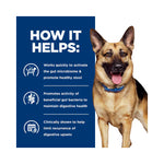 Hill's Prescription Diet Gastrointestinal Biome Wet Dog Food 370g x 12