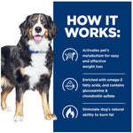 Hill's Prescription Diet j/d Metabolic+ Mobility Wet Dog Food 370g x 12