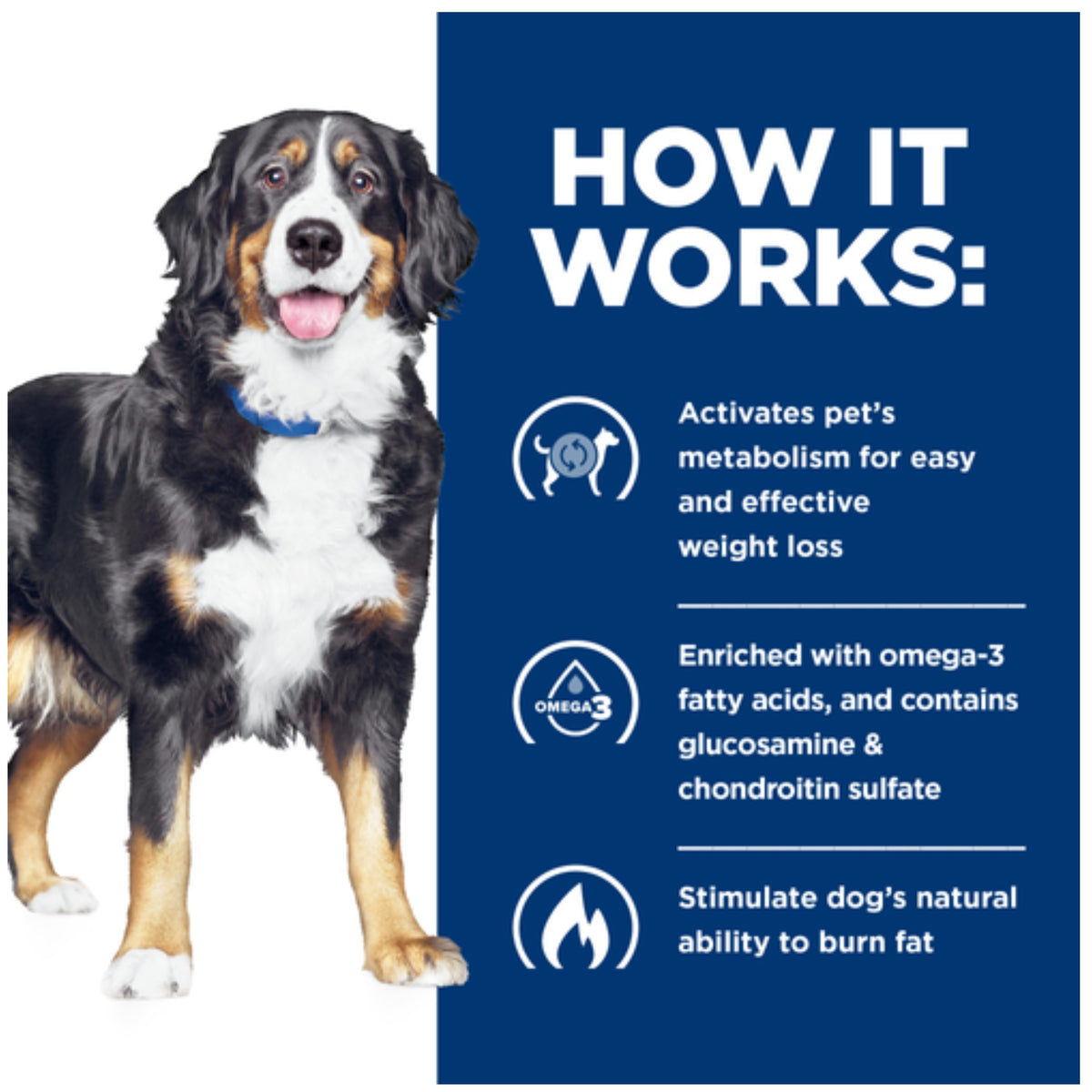 Hill's Prescription Diet j/d Metabolic+ Mobility Wet Dog Food 370g x 12