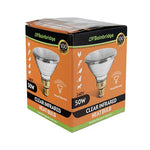 Bainbridge Infrared Heat Lamp Bulb - Clear