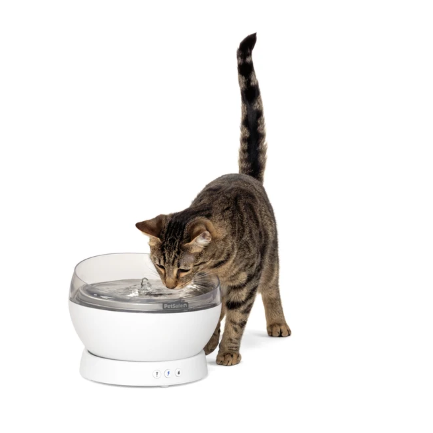PetSafe HydroSphere 1.7L Cordless Fountain