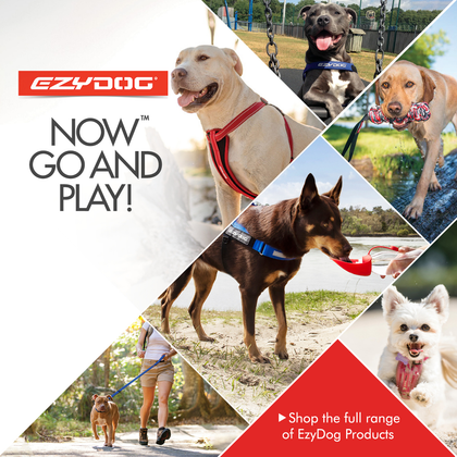 EzyDog