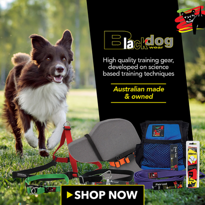 Black Dog Wear