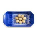 Borotto Lumia 8 Automatic Incubator
