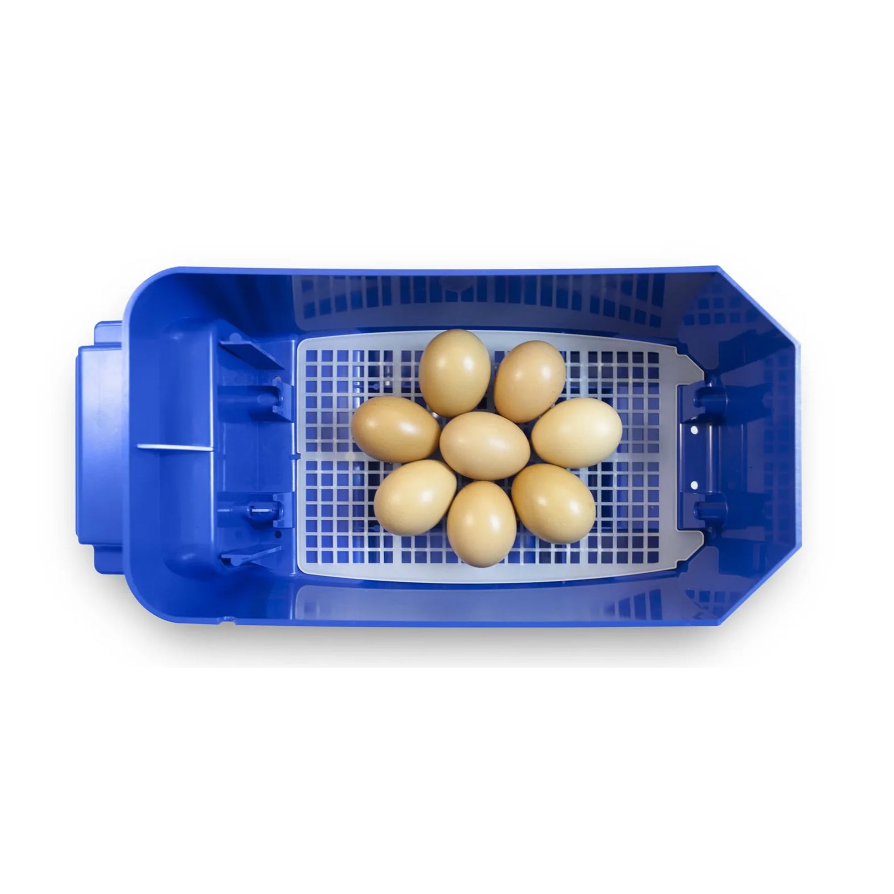 Borotto Lumia 8 Automatic Incubator