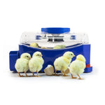 Borotto Lumia 8 Automatic Incubator