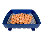 Borotto Real 49 Automatic Egg Incubator