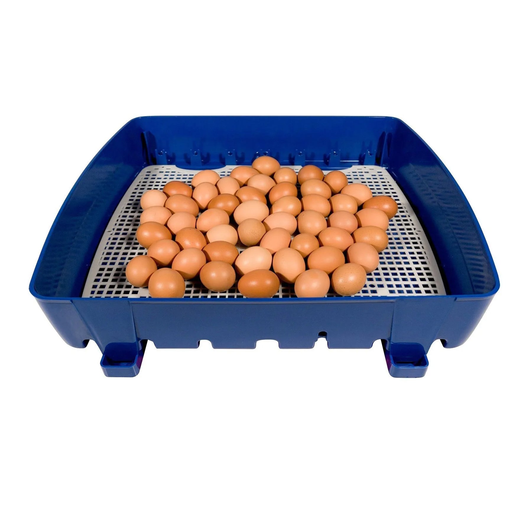 Borotto Real 49 Automatic Egg Incubator