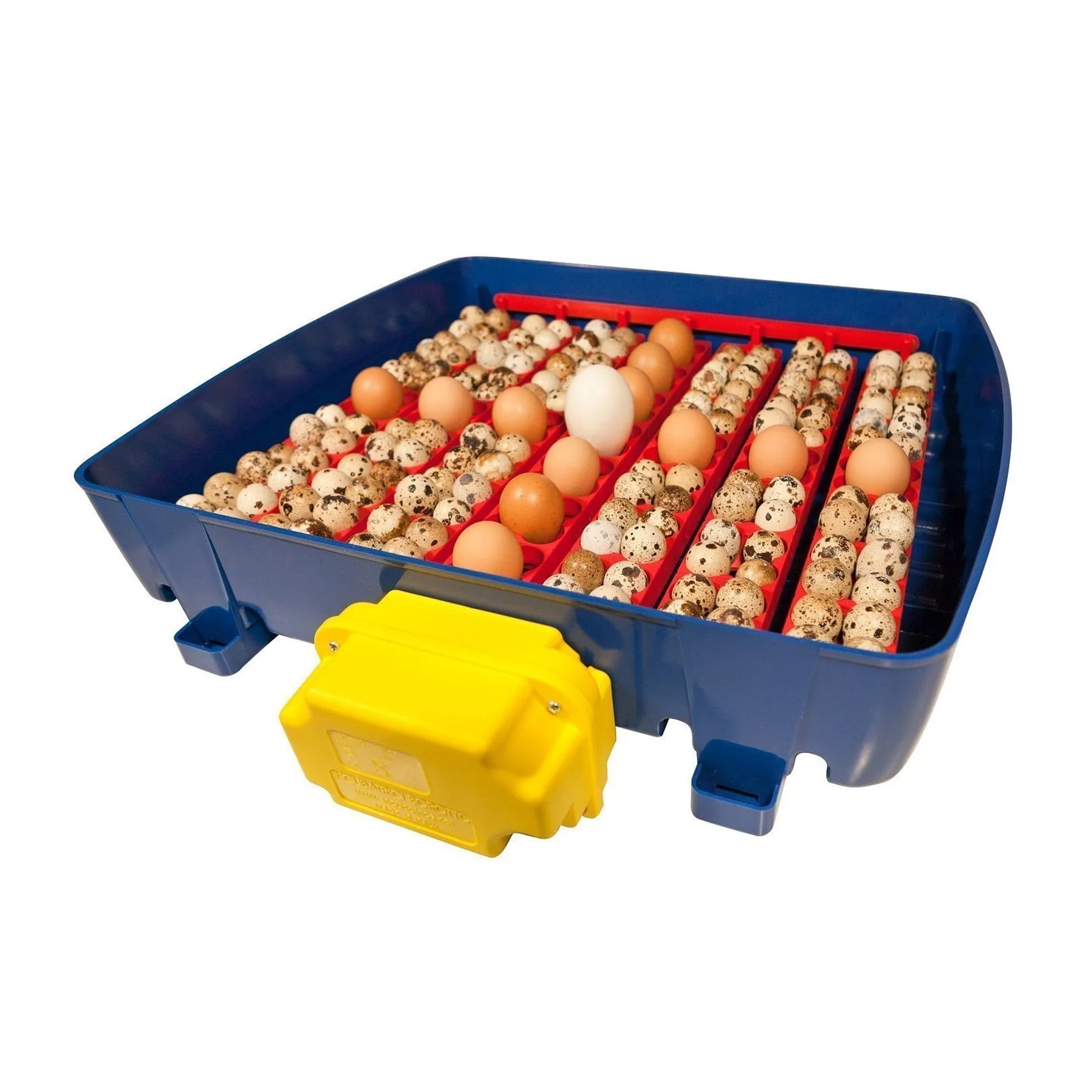 Borotto Real 49 Automatic Egg Incubator