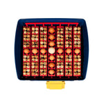 Borotto Real 49 Automatic Egg Incubator