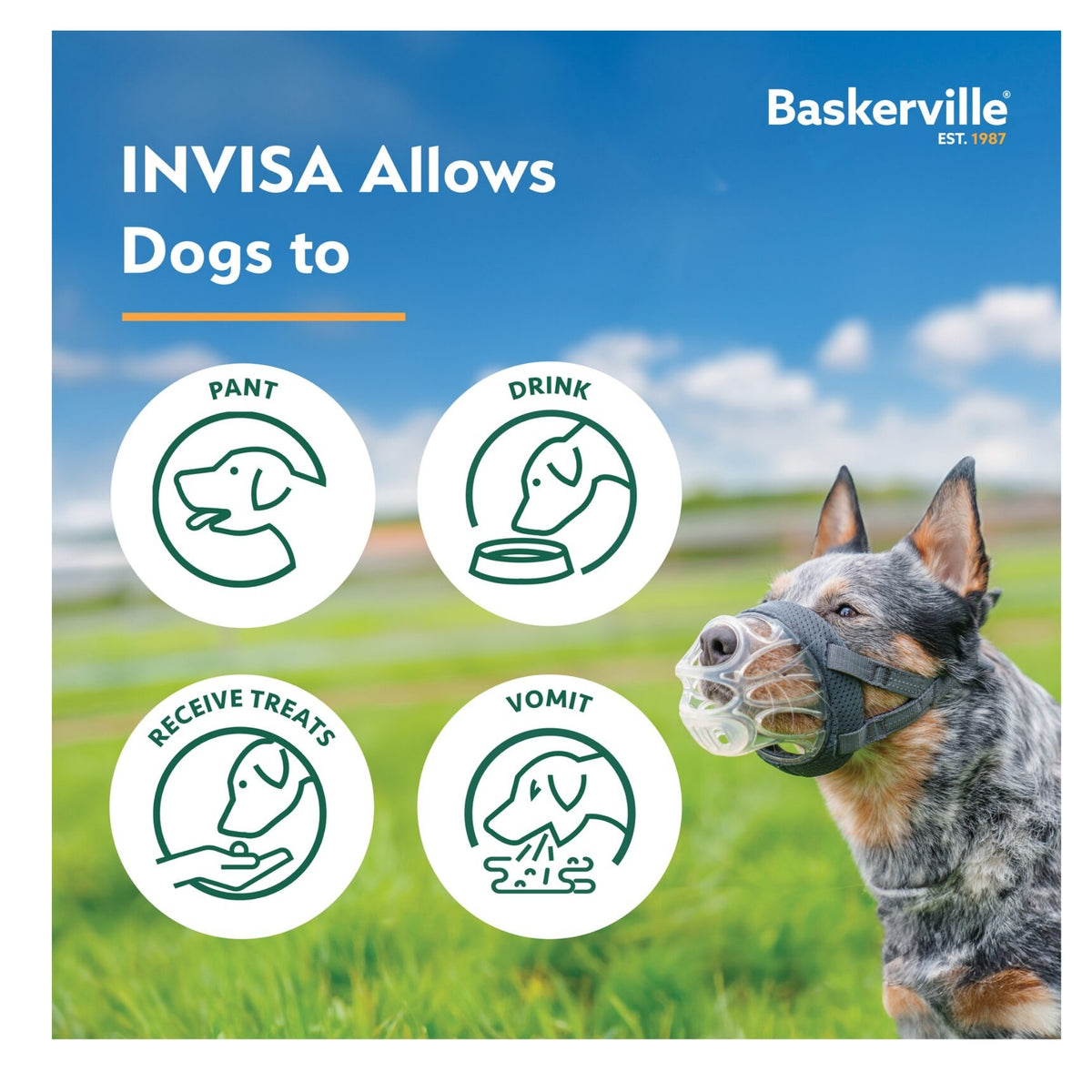 Baskerville Invisa Muzzle