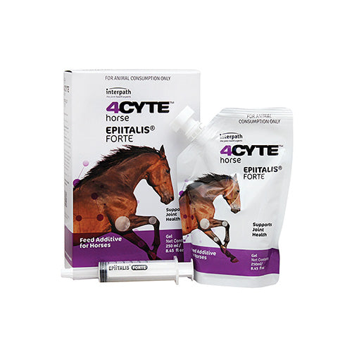 Horse Joint Supplements