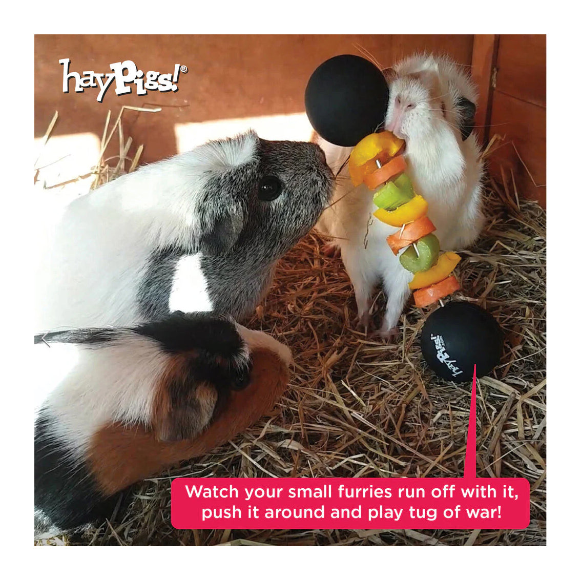 HayPigs! Piggy Weightlifter Vegetable Kebab Maker