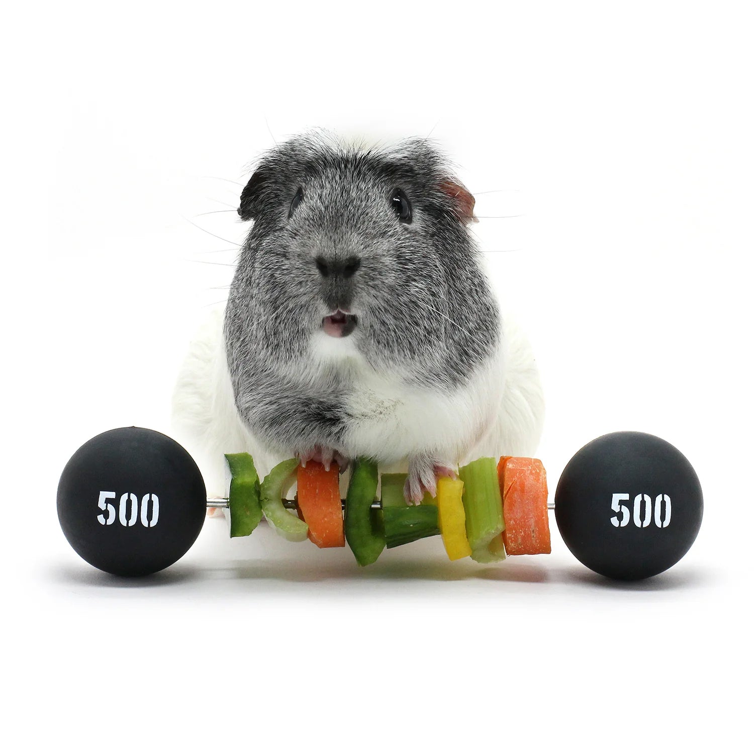 HayPigs! Piggy Weightlifter Vegetable Kebab Maker