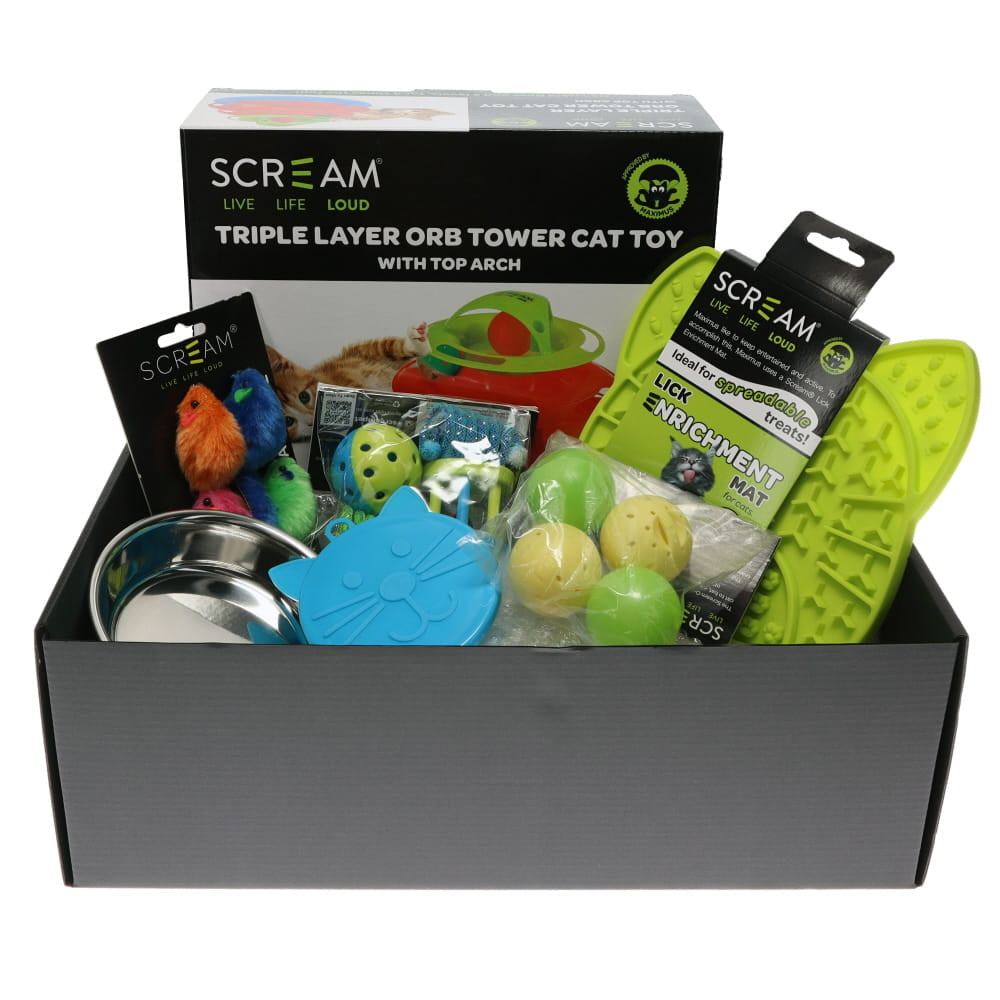 Prestige Pet Kitten Gift Pack