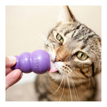 Kitty KONG