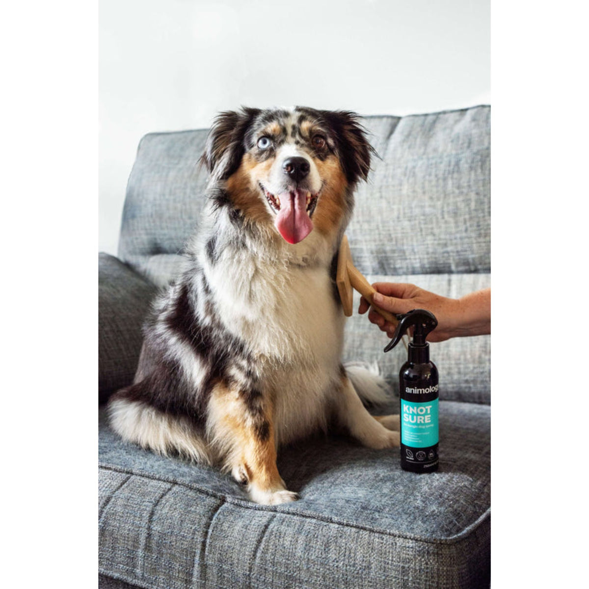 Animology Knot Sure De-Tangle Dog Spray 250mL
