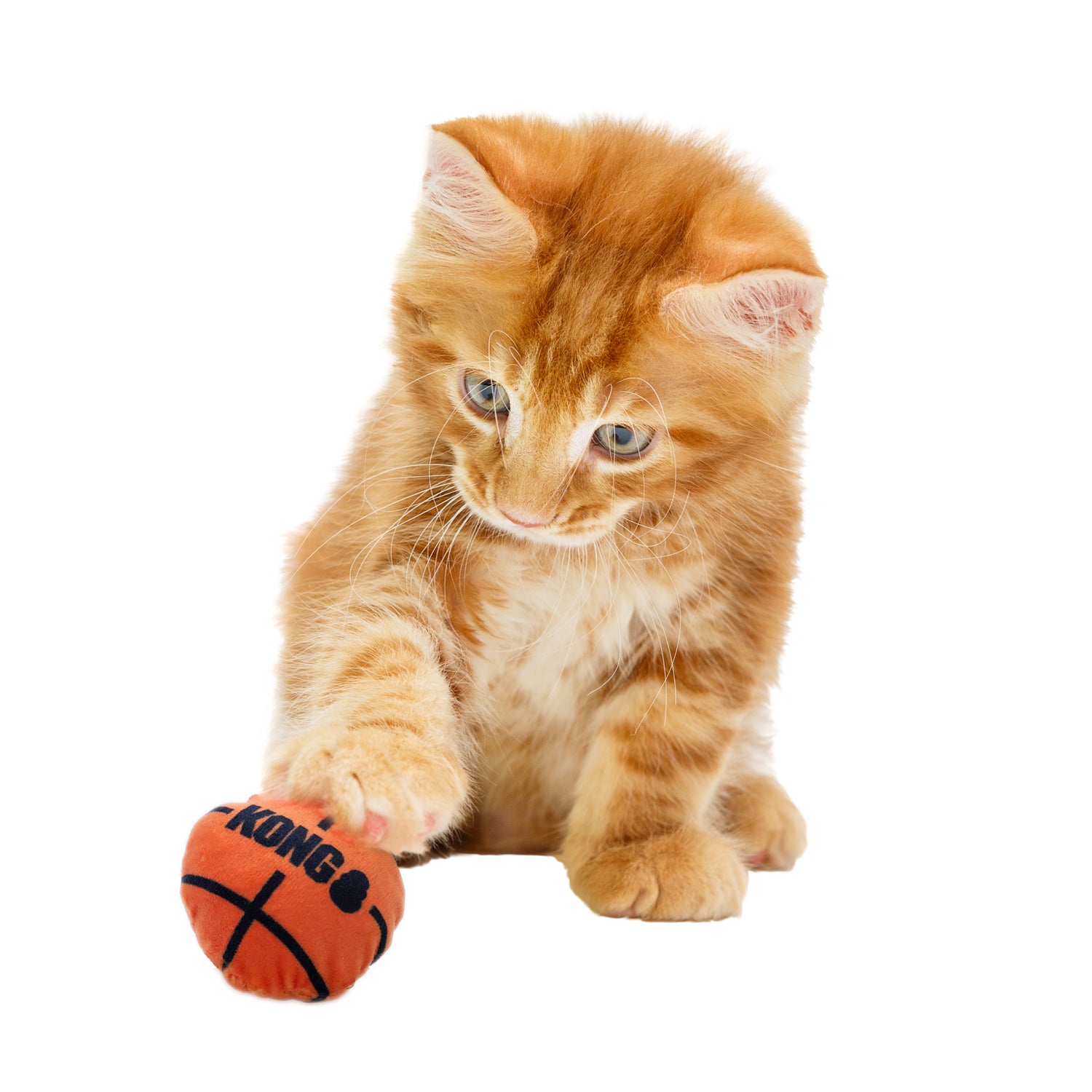 Cat Toys - Balls & Chasers