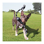 KONG Extreme Dental with Rope - Medium