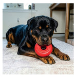 KONG Donut Dog Toy