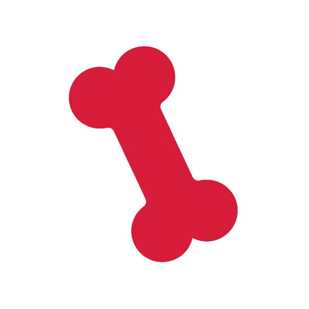 KONG Dog Toys - Chew