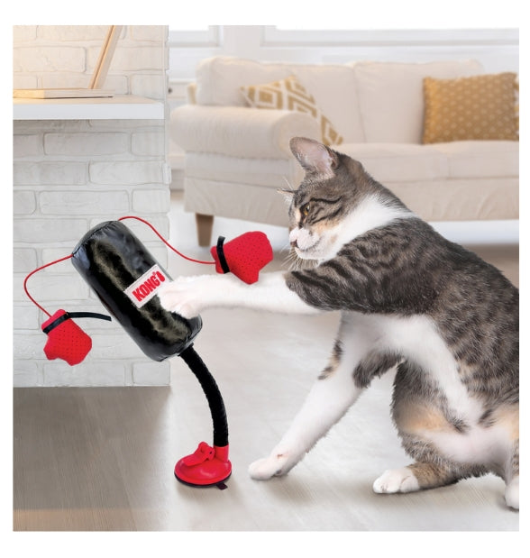 Interactive Cat Toys