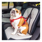 KONG Travel Ultimate Safety Tether
