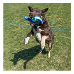 KONG Whirlz Throw - Medium/Large